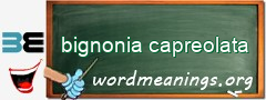WordMeaning blackboard for bignonia capreolata